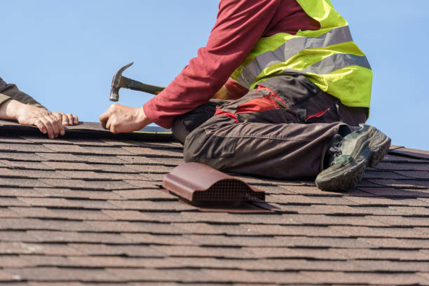 Best Roof Gutter Cleaning  in Oakfield, WI
