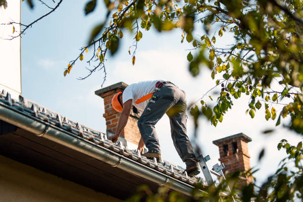 Best Roof Maintenance Services  in Oakfield, WI